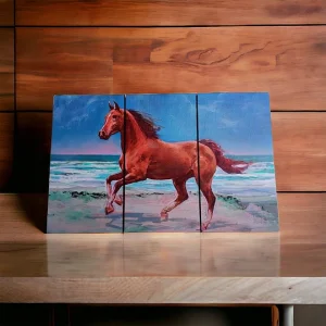 Cuadro Caballo Mar set de 3
