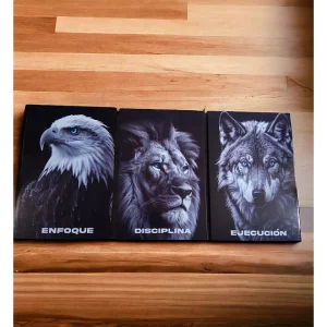 Cuadro Decorativo Disciplina
