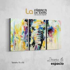 Cuadro Elefante de Colores