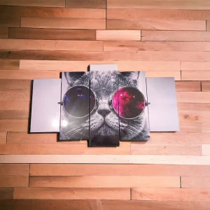 Cuadro Decorativo Gato Gafas