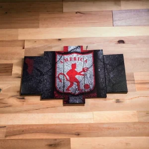 Cuadro Decorativo de America