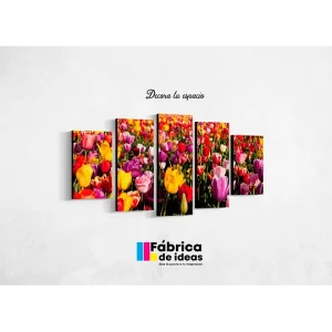 Cuadro Decorativo de Flores de Colores