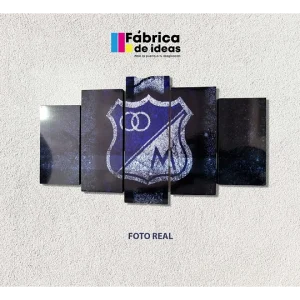 Cuadro Decorativo de Millonarios