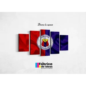 Cuadro Decorativo de  Deportivo Pasto