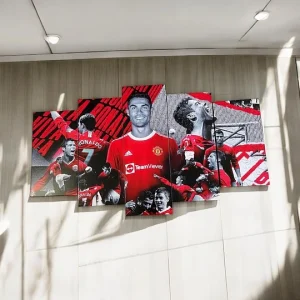 Cuadro Decorativo de Ronaldo